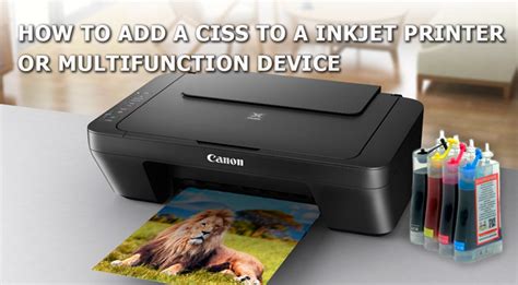 Best Printers with CISS: Enhance Your Printing Experience.